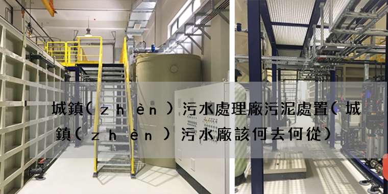 城鎮(zhèn)污水處理廠污泥處置(城鎮(zhèn)污水廠該何去何從)